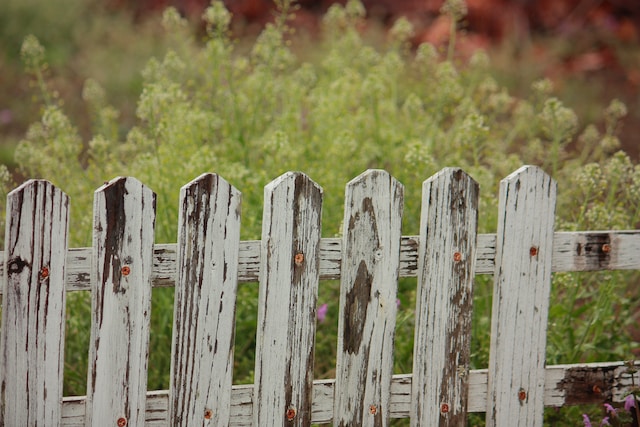 Why Wood Fencing Is An Attractive Option For Your House