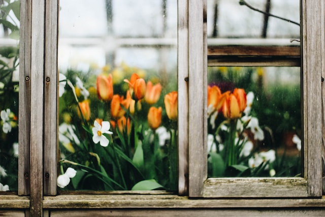 Transform Your Home with Stunning Garden Windows: A Step-by-Step Guide