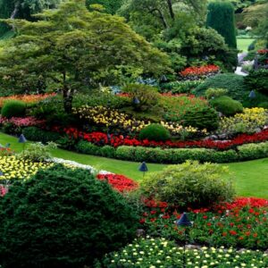 The Art of Landscape Maintenance: Cultivating a Vibrant Outdoor Space