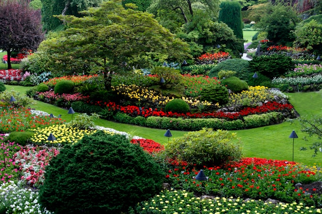 The Art of Landscape Maintenance: Cultivating a Vibrant Outdoor Space