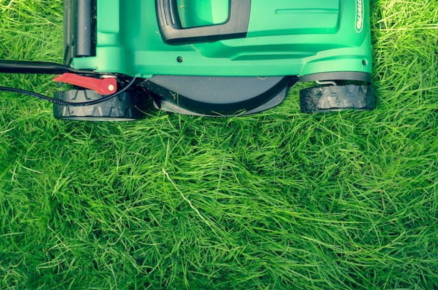 The Art of Creating a Lush, Green Lawn: A Comprehensive Guide